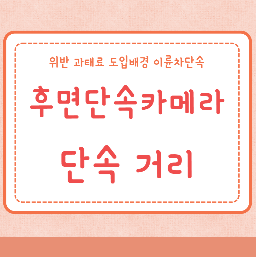 후면단속카메라 거리 단속거리