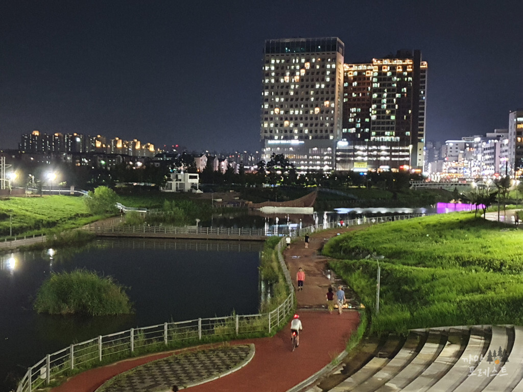 파주 운정호수 공원 야경