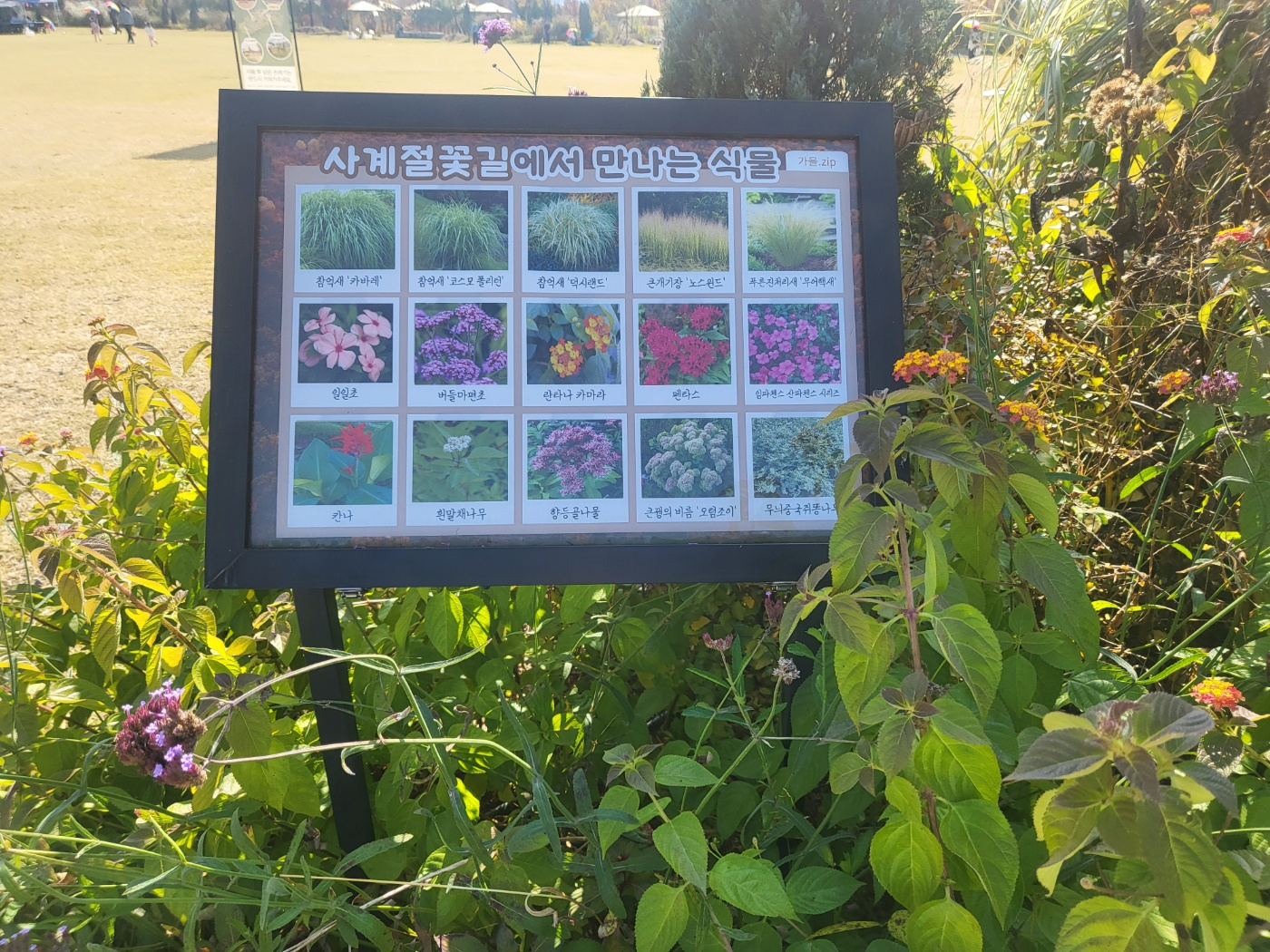 세종 아이와 가볼 만 한 곳 (세종수목원)