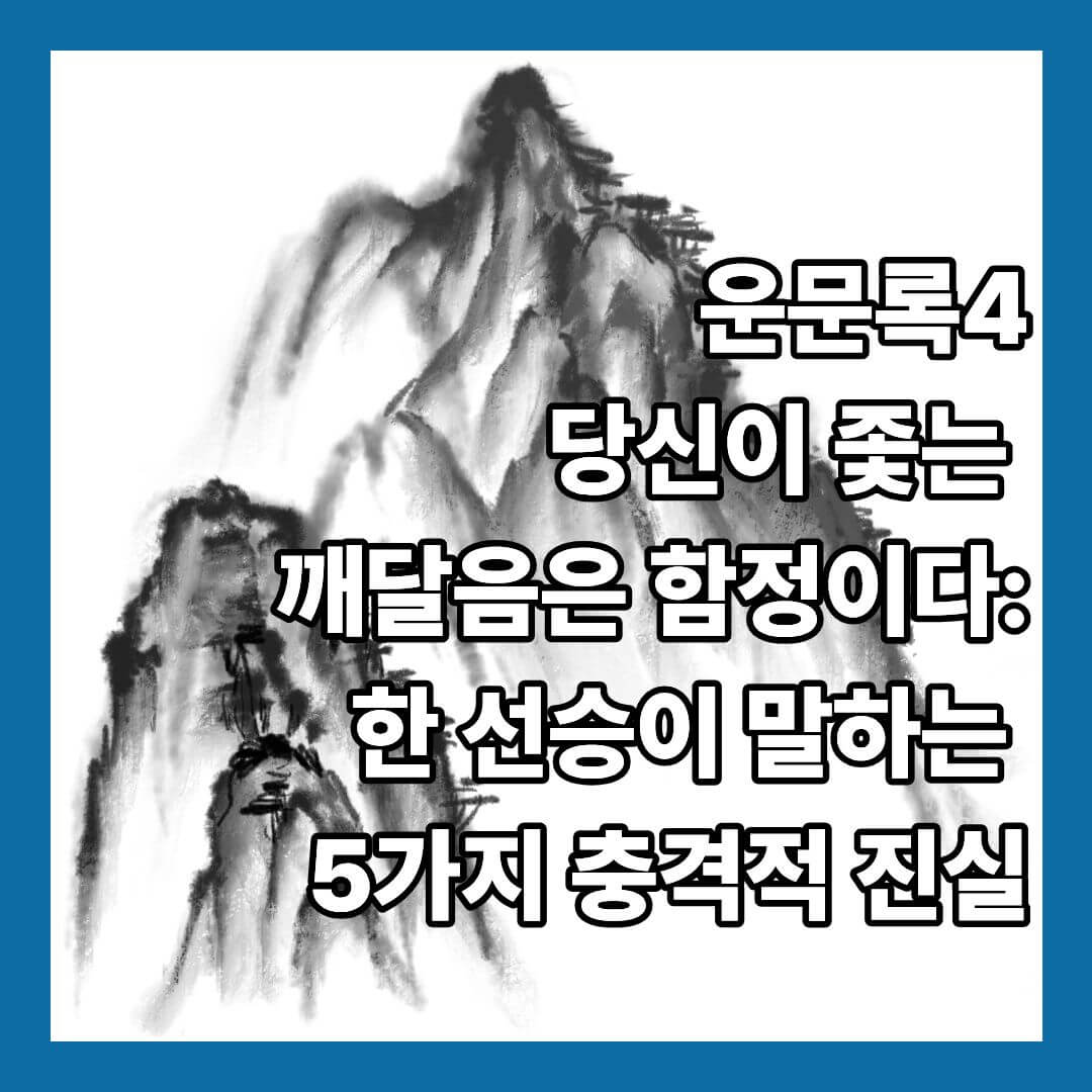 당신이 좇는 깨달음은 함정이다: 운문록4