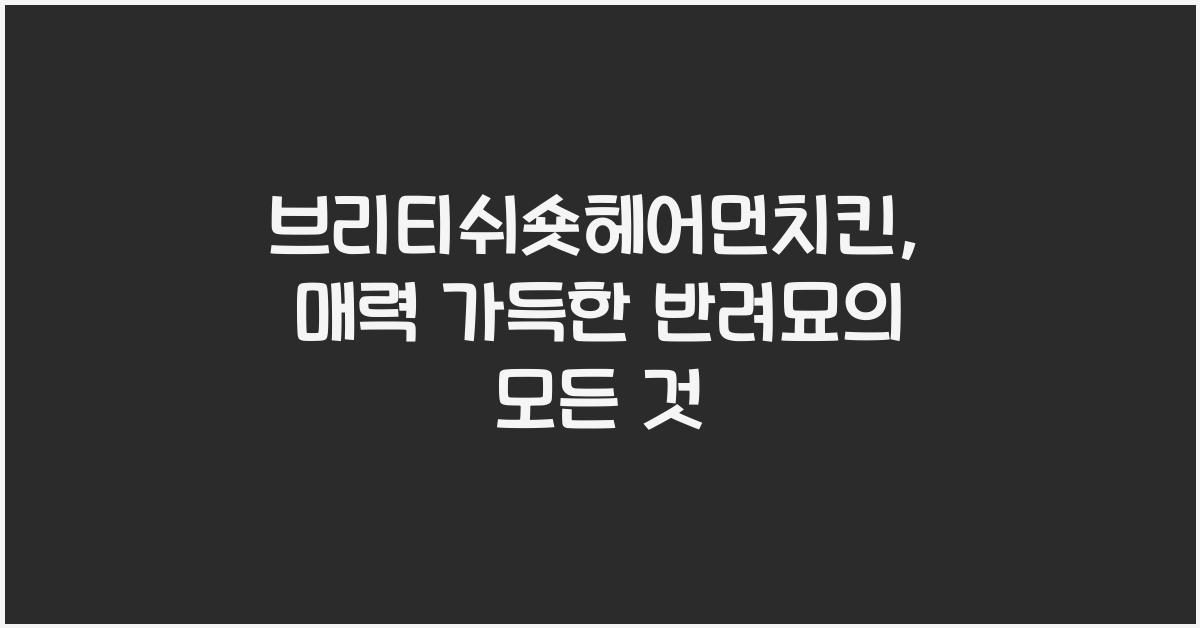 브리티쉬숏헤어먼치킨