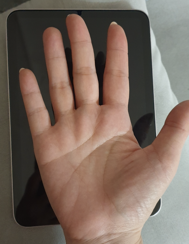 아이패드 미니7 크기