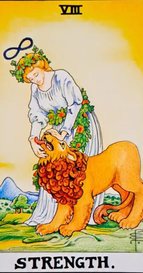 ]메이저 아르카나 8번 힘(STRENGTH)타로카드해석