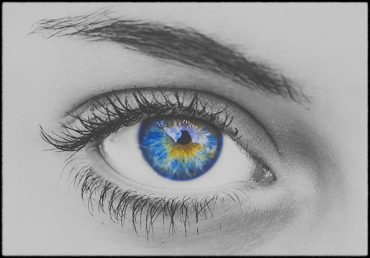 토마토 관련 이미지9