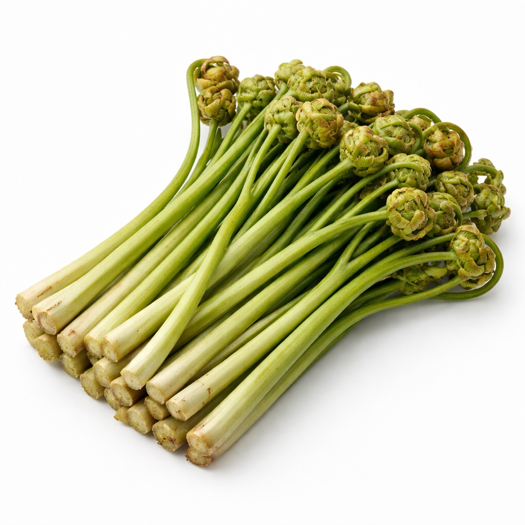 고사리 효능, 부작용, 고사리의 종류 알아보기