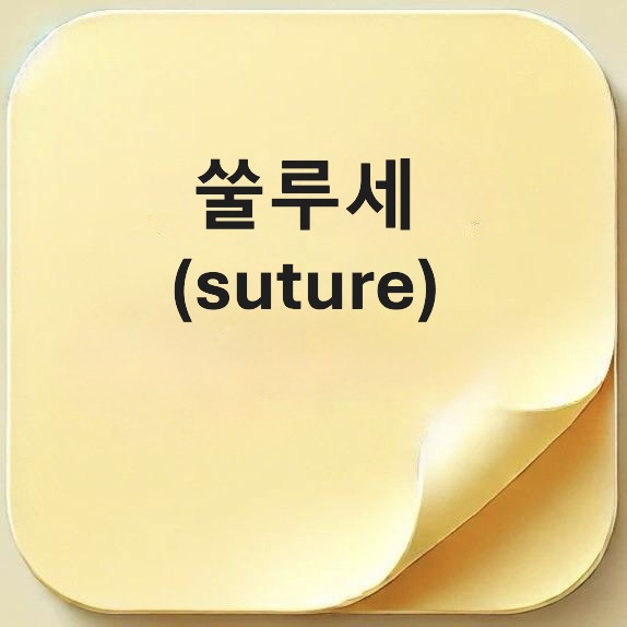 쑬루세_suture
