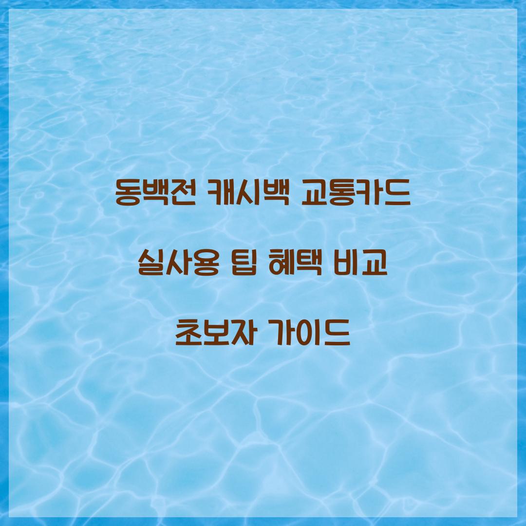 동백전 캐시백 교통카드