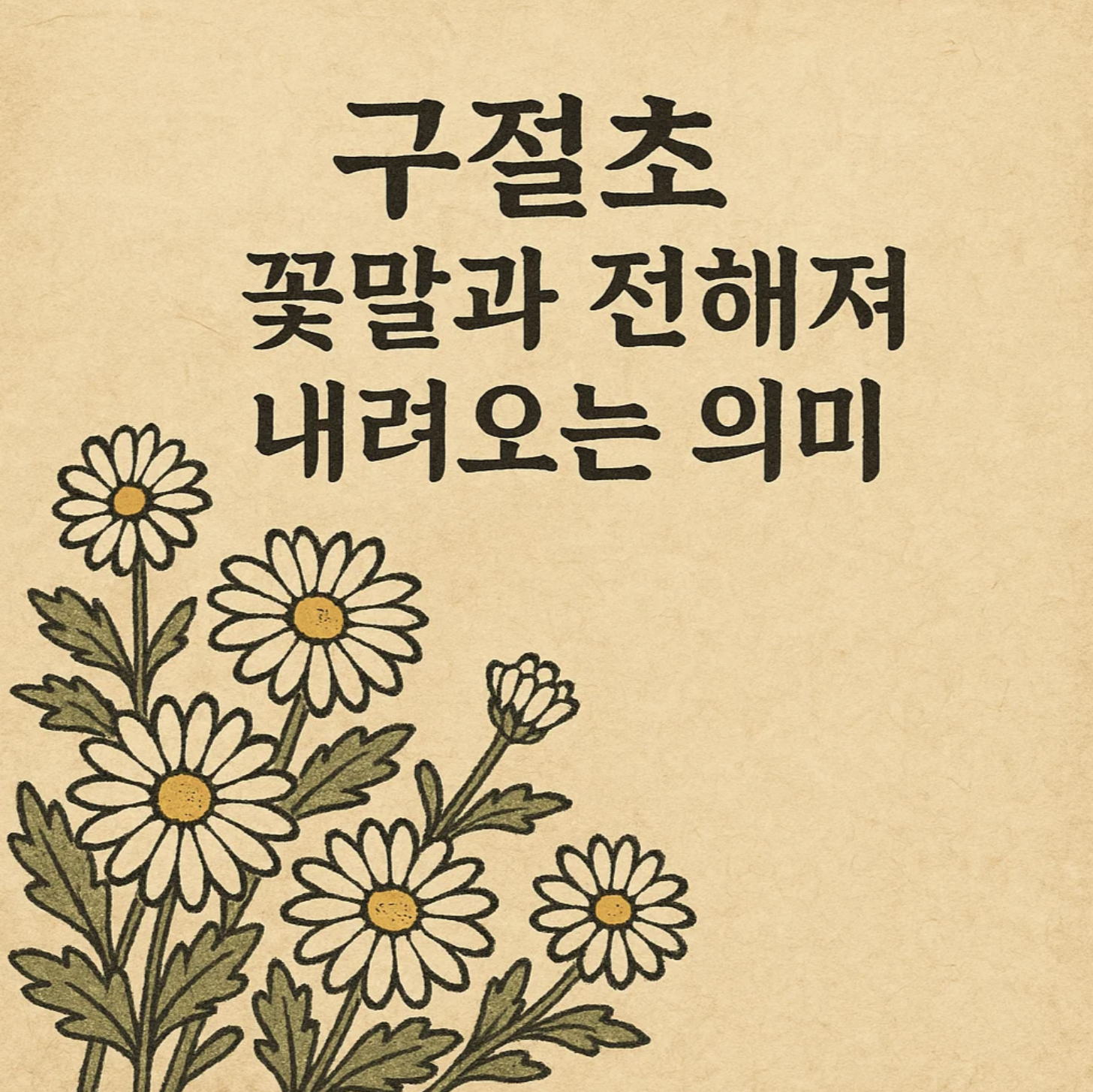 구절초 꽃말과 전해져 내려오는 의미