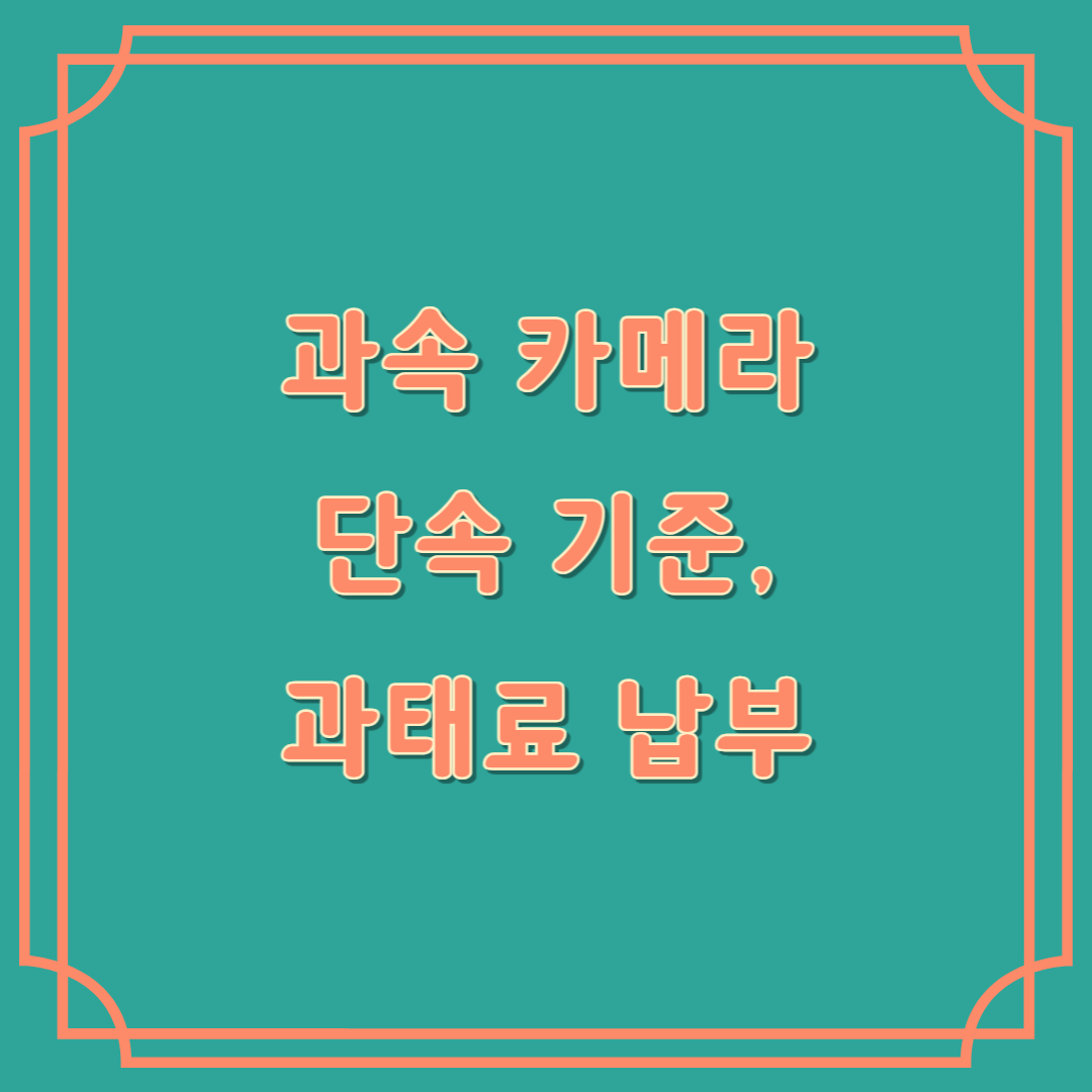 과속 카메라 과태료
