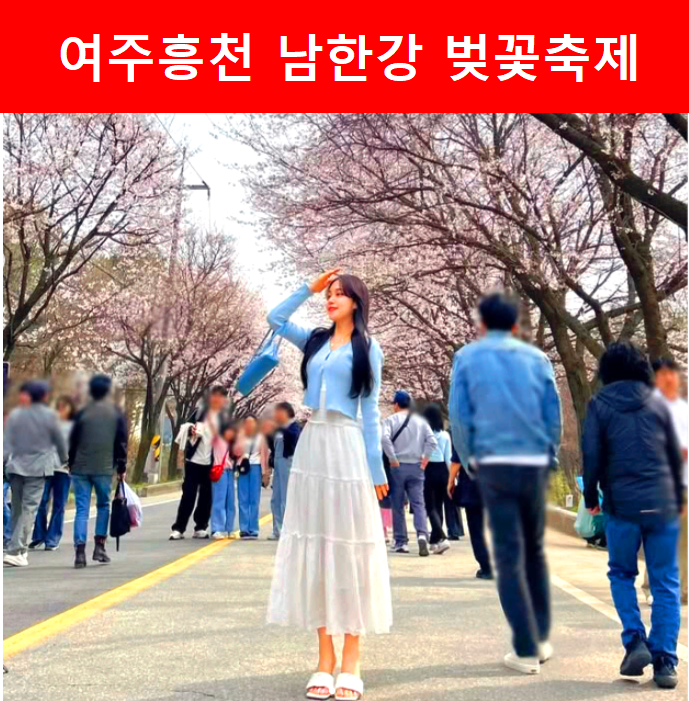 여주 흥천 남한강 벚꽃축제