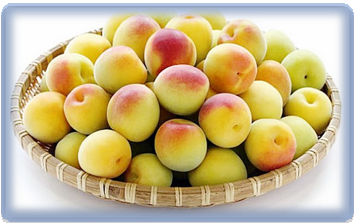 더부룩한 속을 달래주는 음식 매실