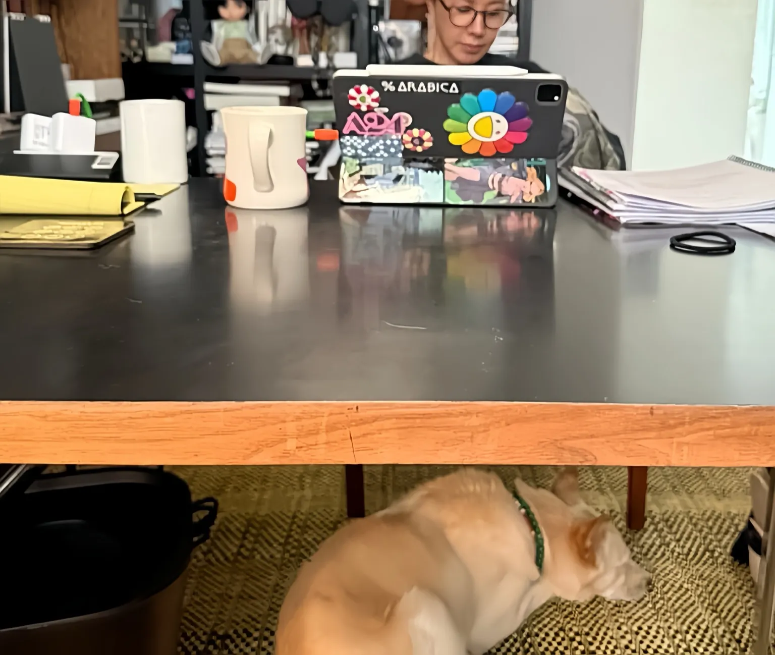 엄정화,박미선,연예인 암투병,갑상선암,디바 엄정화,엄정화 투병 고백,박미선 암 고백,연예인 건강 이야기,암 극복 사례,가수 엄정화,반려동물 힐링,연예인 반려견,목소리 회복,여자 연예인 투병,회복과 치유,갑상선암 증상,여자 가수 암,유방암,비인두암,간암,자궁근종,연예인 건강 회복,희망 이야기,힐링 스토리,여성 건강