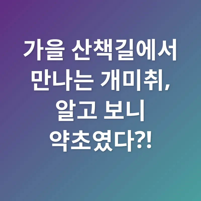 가을철 호흡기 건강_1
