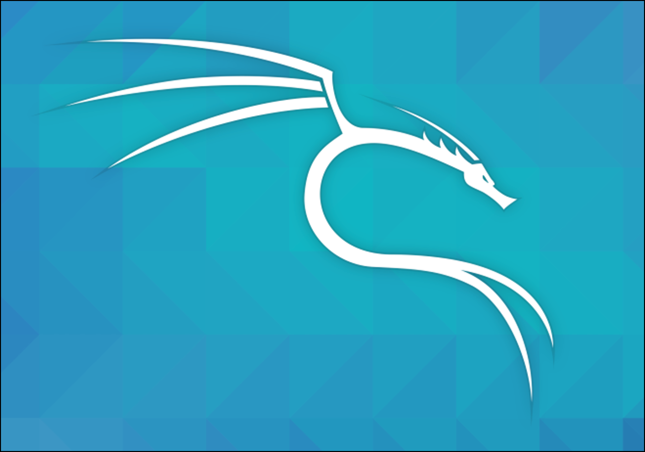 칼리 리눅스 프리징