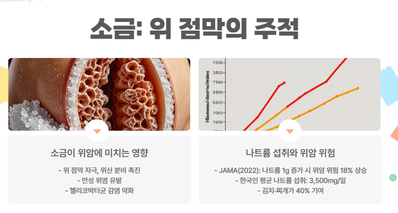 소금: 위 점막의 주적