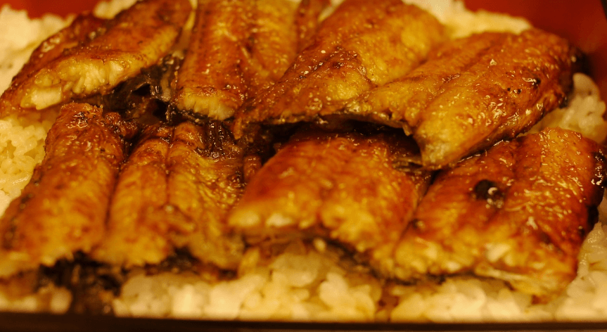 장어와 장어로 만든 음식들 사진 - 7