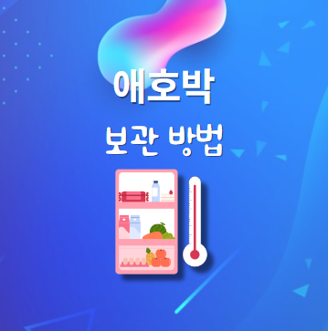 애호박 보관법