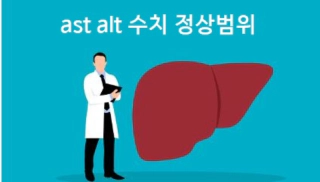 ast alt 수치 정상범위