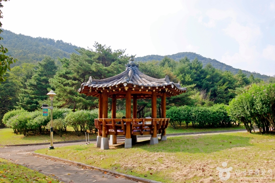 계룡 가볼만한곳 베스트10