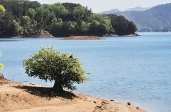 포트폴리오 재분배 리스크 관리 분산 투자 기간별 전략_15