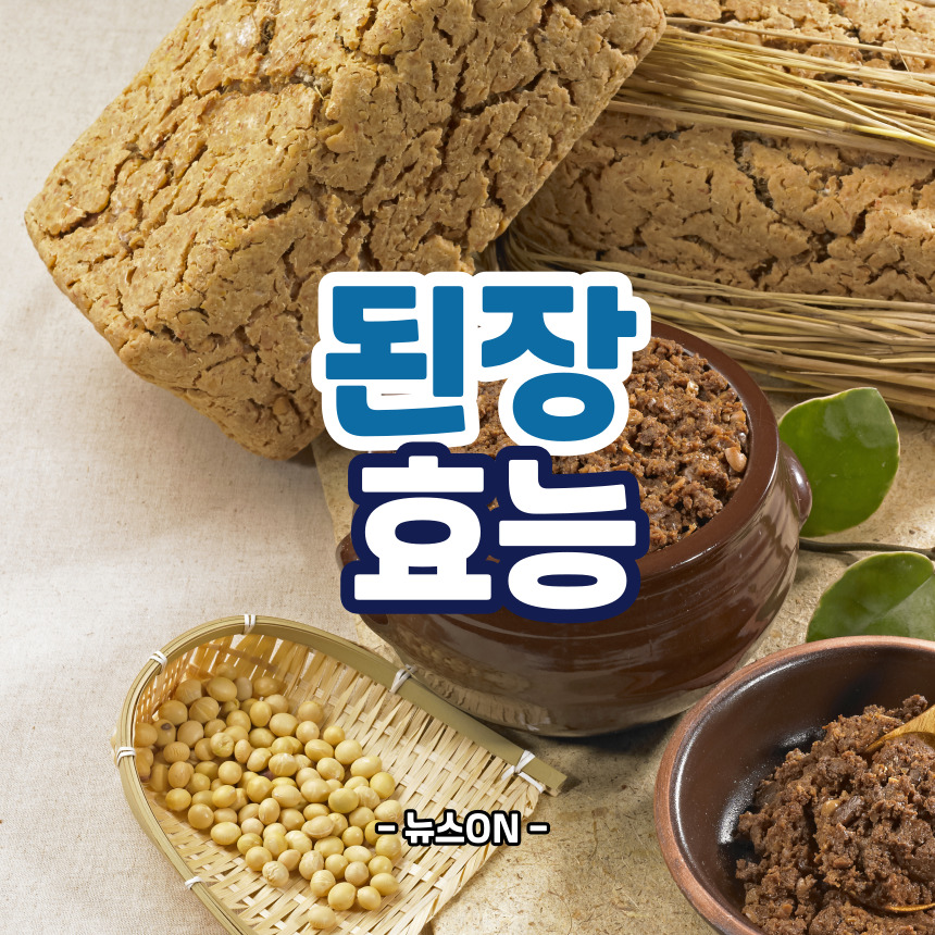 된장 효능