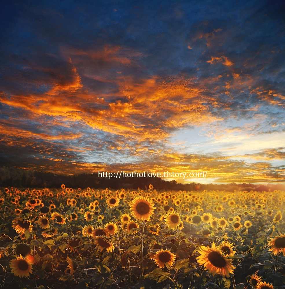 빈 체제의 몰락