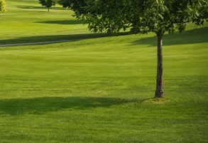 구미파크골프장 예약하기