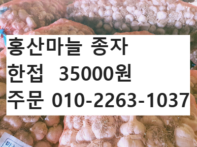 망에 담긴 홍산마늘