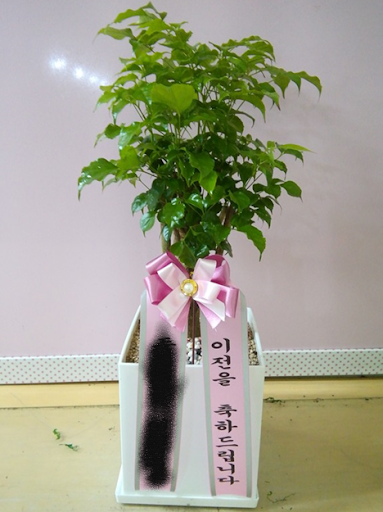 화분관리업체