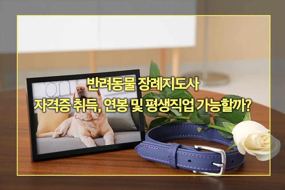 반려동물 장례지도사 자격증 취득, 연봉 평생직업 가능 여부