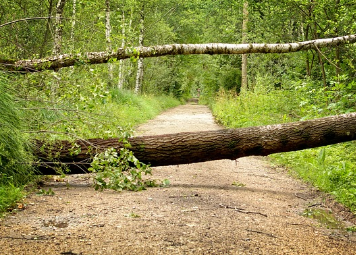 뇌졸중 전조증상 15