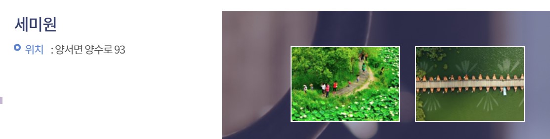 아이와 함께하는 자연학습 – 양평 세미원 연꽃 관찰 체험기