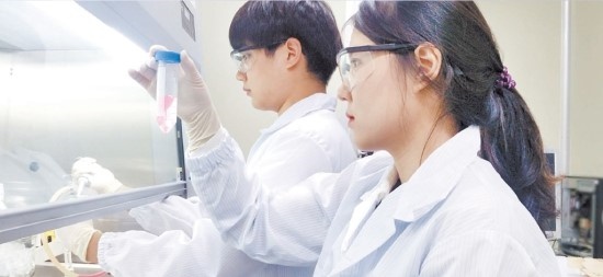 코미팜 주가 및 전망