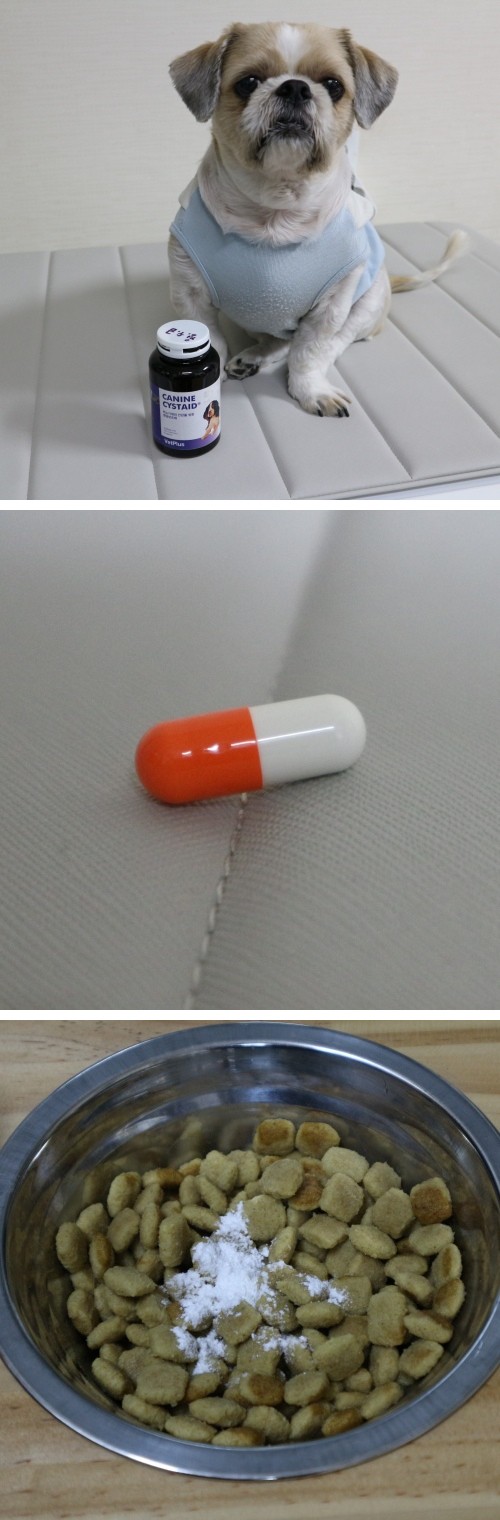 케나인 시스테이드 급여