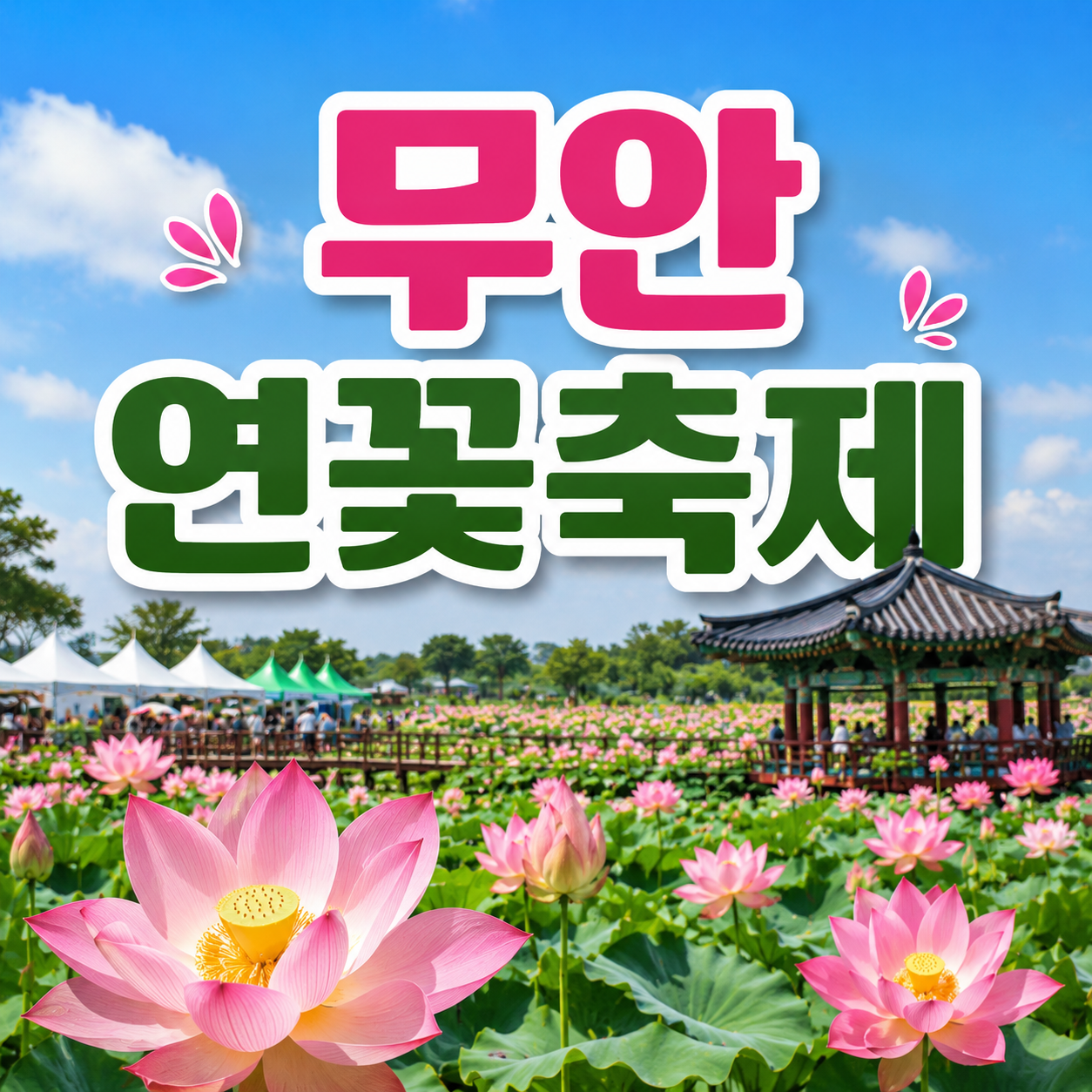 무안연꽃축제