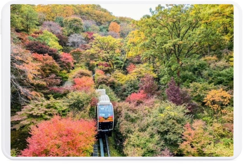 화담숲-가을