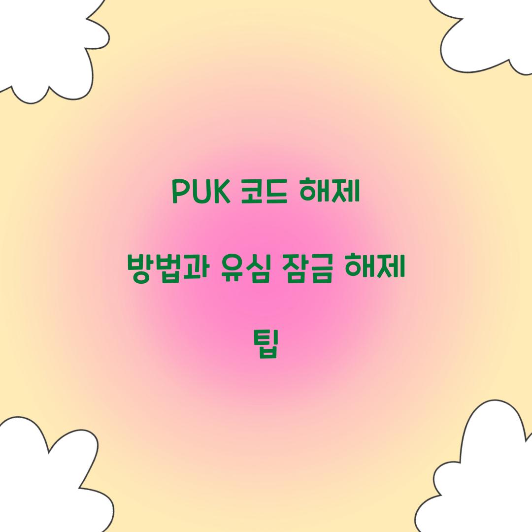 PUK 코드 해제 방법