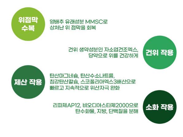 카베진-효능-효과