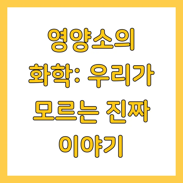 영양소의 화학