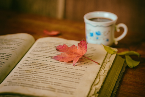 공인중개사 기출문제 다운로드