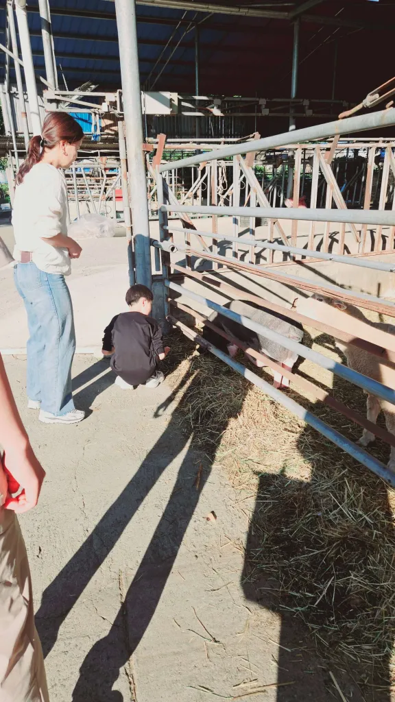 마치 소와 소통하고 있는 듯한 모습