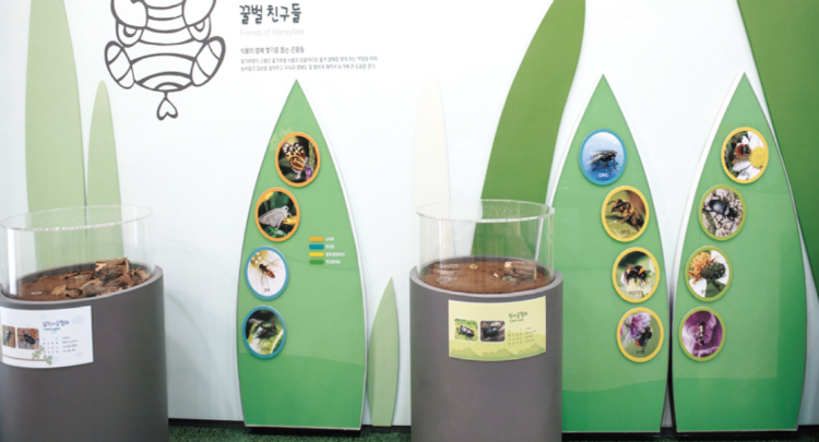 칠곡 꿀벌나라 테마공원