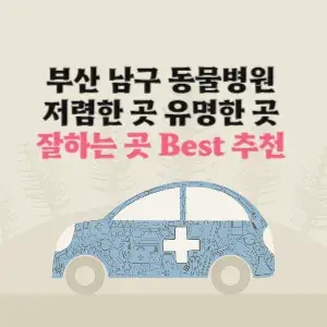 부산 남구 동물병원 가격 저렴한 곳 잘하는 곳 추천