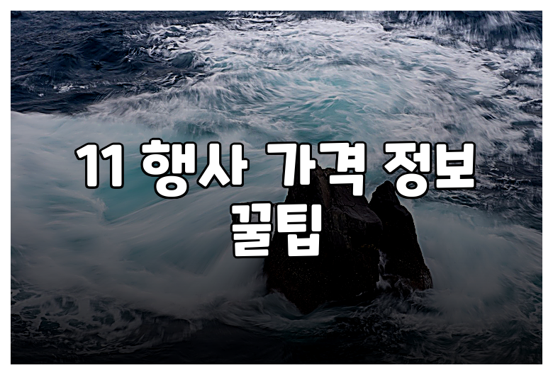 11 행사 가격 정보 꿀팁