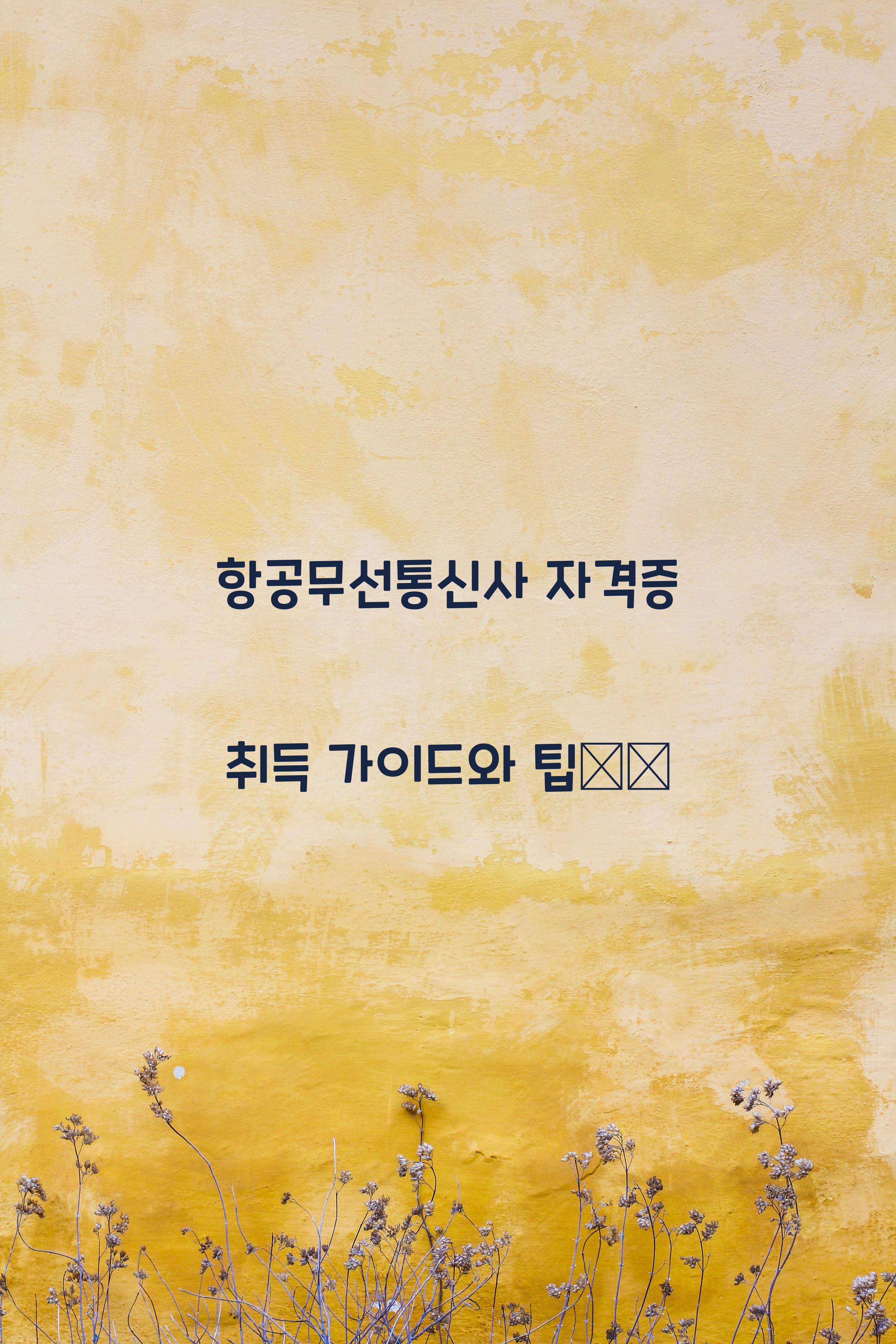 항공무선통신사