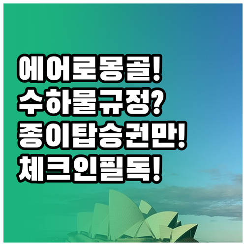 에어로 몽골리아 수하물 규정과 체크인..