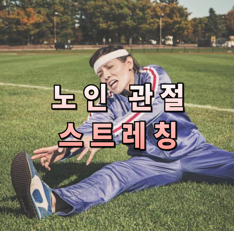 노인스트레칭,관절스트레칭,노인운동,무릎스트레칭,어깨스트레칭,목스트레칭,시니어운동,5분루틴,가족운동,관절건강