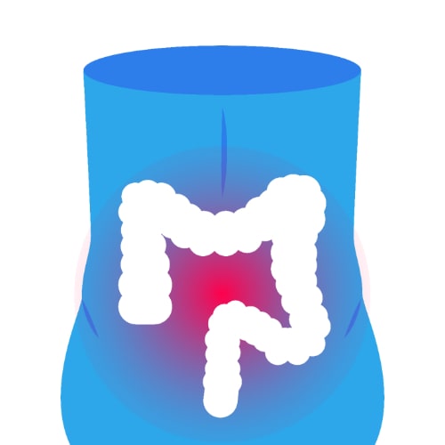 대장의-위치도