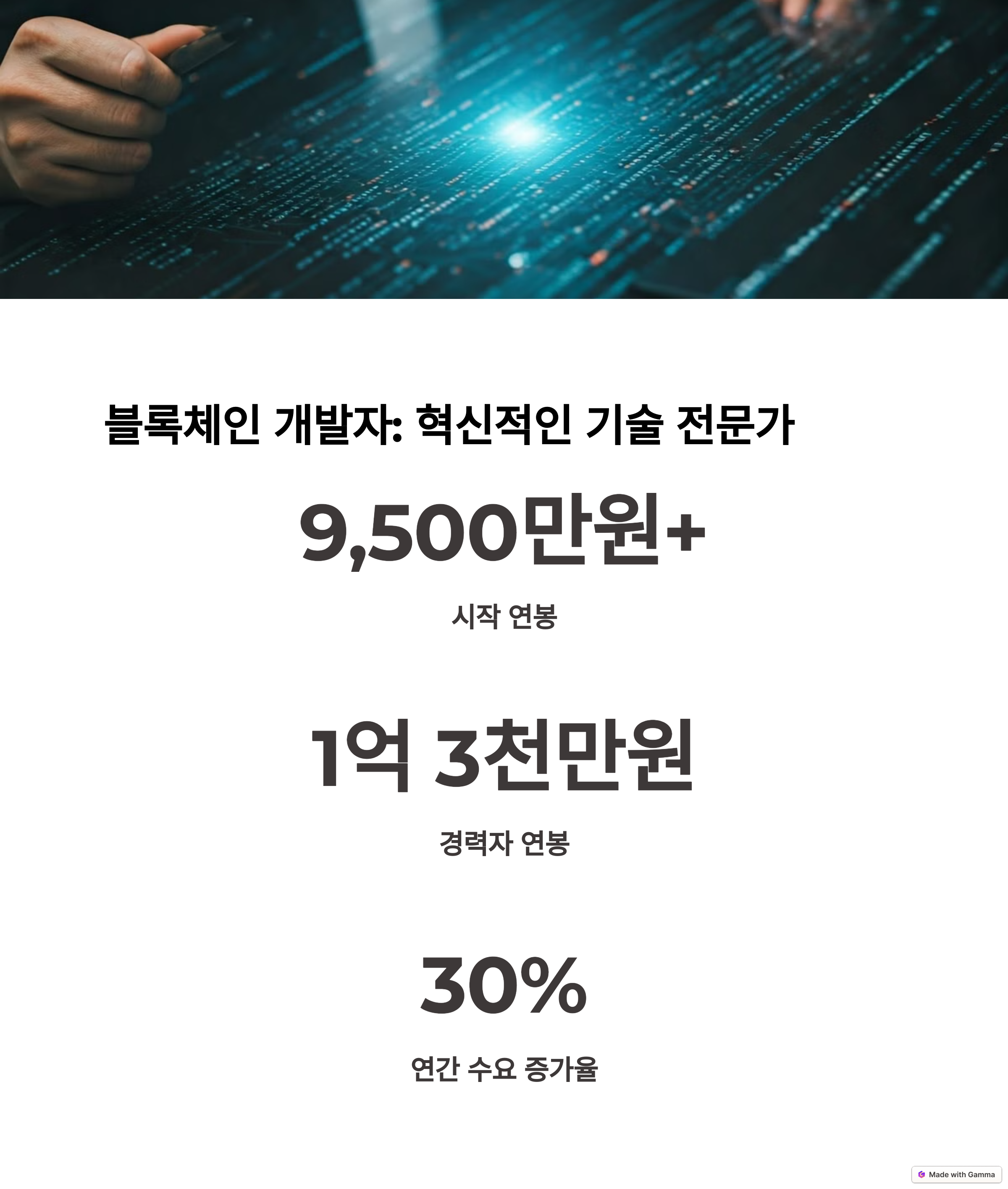 블록체인 개발자