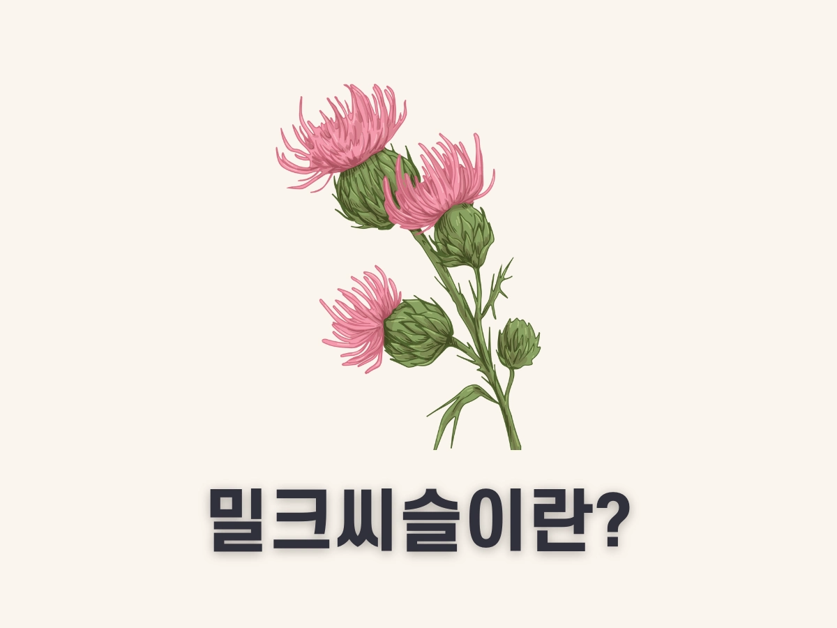 밀크씨슬
